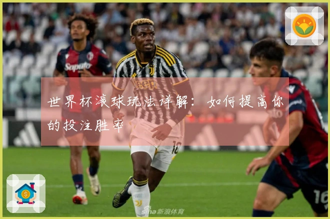 世界杯滚球玩法详解：如何提高你的投注胜率