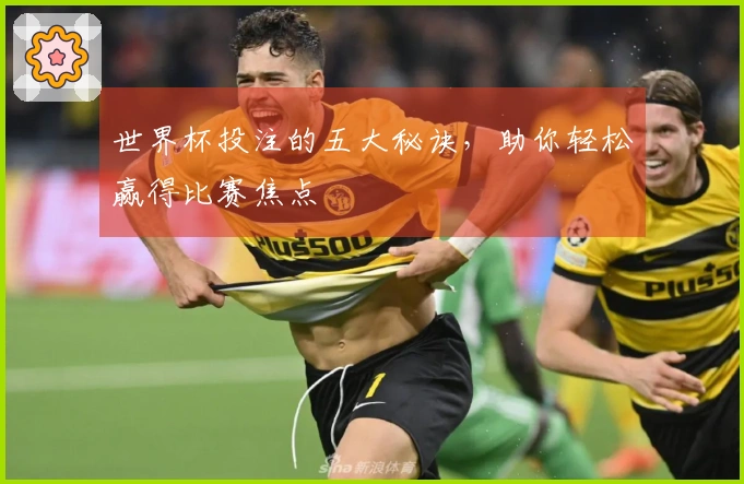 世界杯投注的五大秘诀，助你轻松赢得比赛焦点