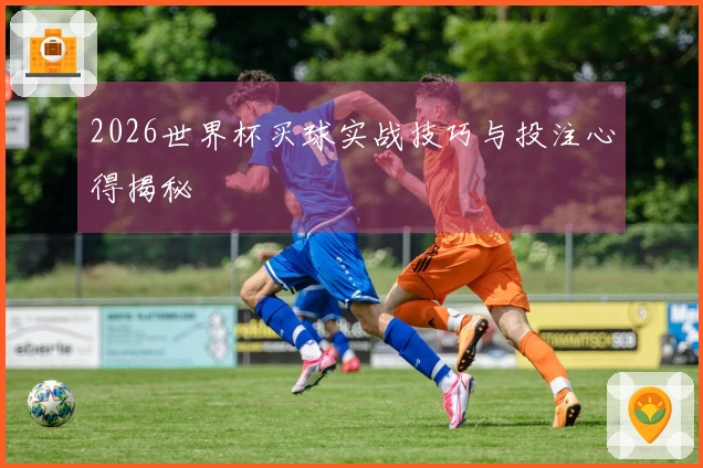 2026世界杯买球实战技巧与投注心得揭秘