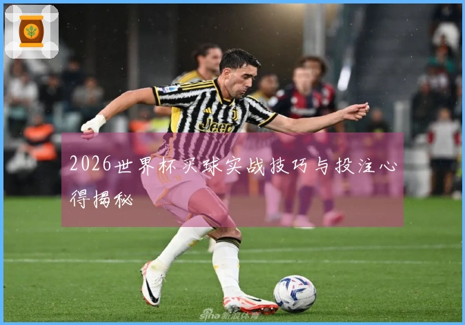 2026世界杯买球实战技巧与投注心得揭秘
