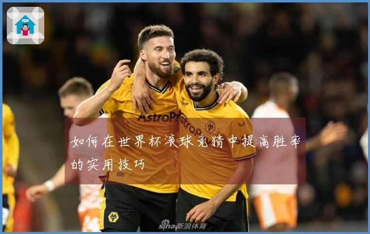 如何在世界杯滚球竞猜中提高胜率的实用技巧