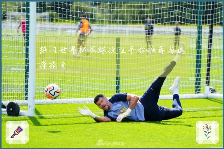 热门世界杯买球投注平台推荐与选择指南