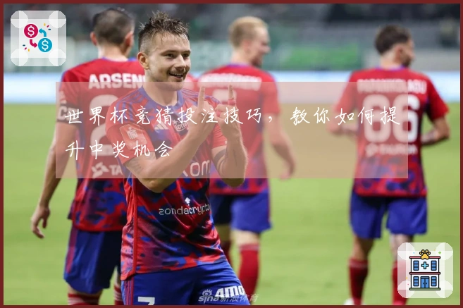 世界杯竞猜投注技巧，教你如何提升中奖机会