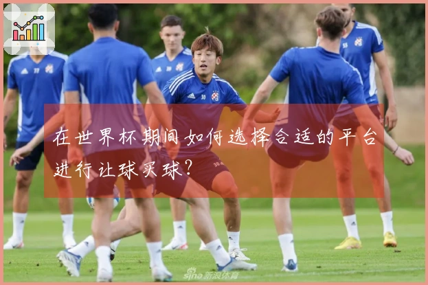 在世界杯期间如何选择合适的平台进行让球买球？