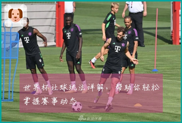 世界杯让球玩法详解，帮助你轻松掌握赛事动态